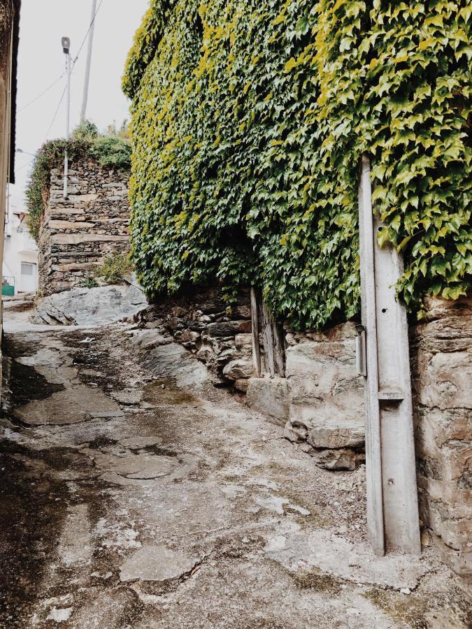 Casa Do Douro Vendégház Alijó Kültér fotó